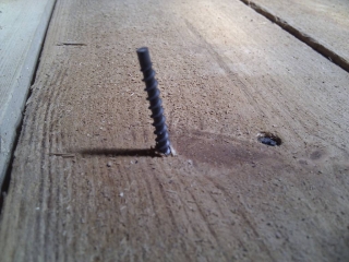 imag0013