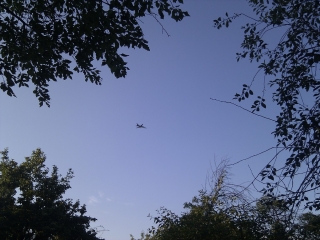 imag0018