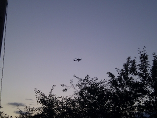 imag0019
