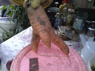 imag0097