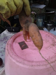 imag0098