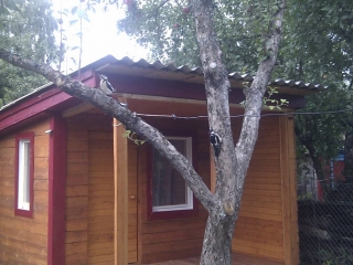 imag0113