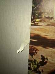 imag0221