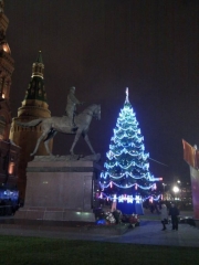 imag0263