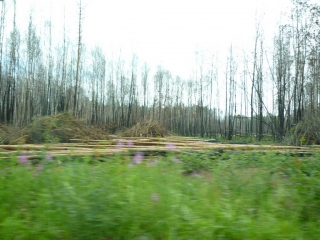 p1010334