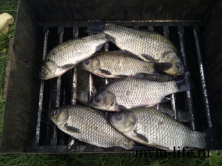 2012-09-22-14-25-23