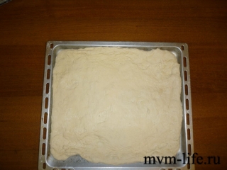 p1010508