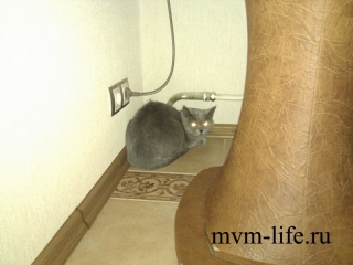 2013-03-18-22-54-37