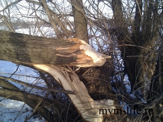img_20130216_104557