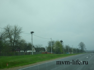 p1020779