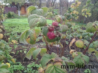 2012-10-21-10-29-40