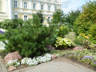 p1010375