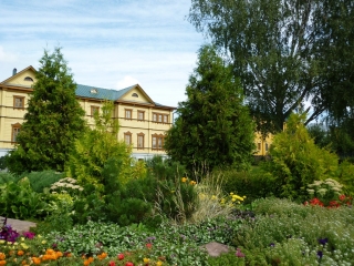 p1010377